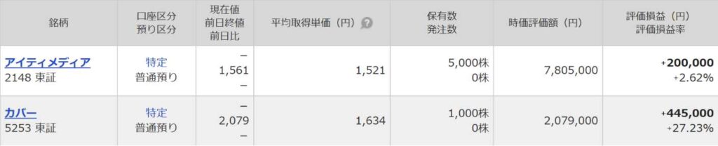 個別株の資産状況