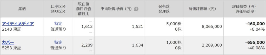 個別株の資産状況