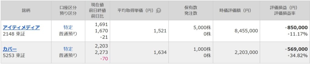 個別株の資産状況