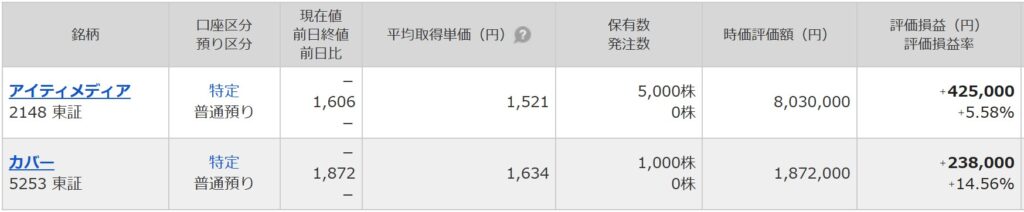 個別株の資産状況