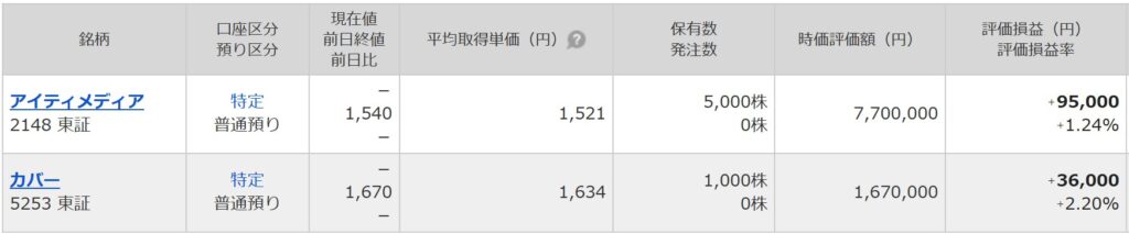 個別株の資産状況