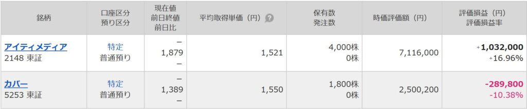 個別株の資産状況